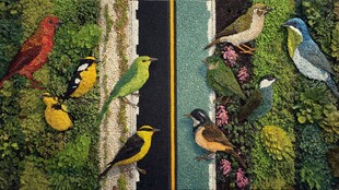 多彩鸟儿栖息于绿植墙间