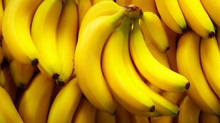 饱满黄香蕉 视觉盛宴