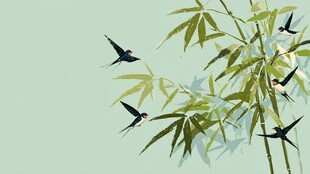 竹枝上的燕子灵动画面