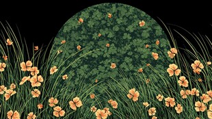 春日花丛中的生机景象