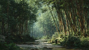 清幽竹林间的静谧小道