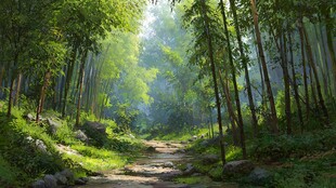 林间幽径 绿意盎然的森林