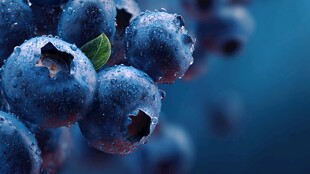 水润蓝莓 饱满诱人
