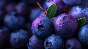 新鲜欲滴的饱满蓝莓