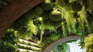 绿植拱形景观 自然氛围感