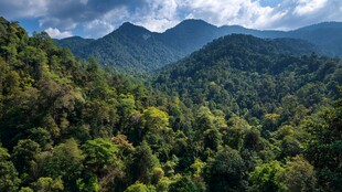 青山翠谷间的自然盛景