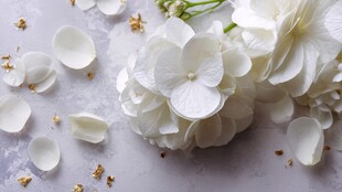 白色绣球花与散落花瓣