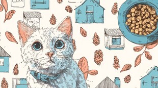 可爱猫咪与温馨家园图景