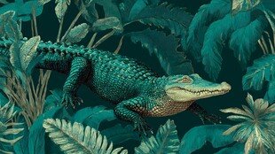 丛林中的绿色鳄鱼