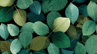 翠绿叶片构成的自然图案