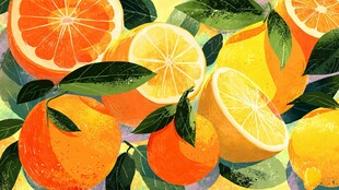 缤纷柑橘插画 清新视觉盛宴