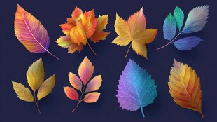 多彩秋叶 绚丽视觉盛宴