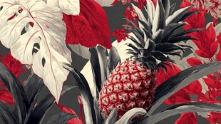 红底菠萝植物花卉图案