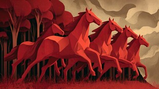 奔腾红马于林野之景