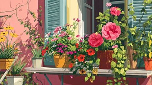 缤纷窗台花卉装点美好