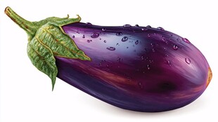 新鲜带水珠的紫茄子