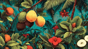 热带水果花卉繁茂景象