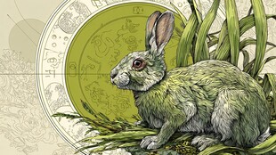 复古风绿兔与植物插画