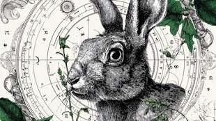 复古风兔子与神秘星盘元素