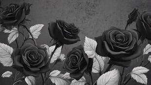 黑玫瑰插画 优雅神秘之美