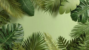 清新绿植环绕的自然背景