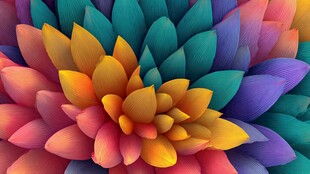 多彩绚丽花瓣艺术图案