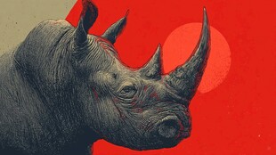 犀首红日下的野性魅力