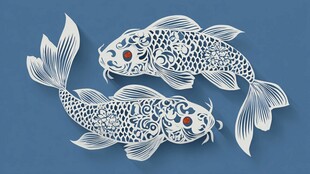 剪纸双锦鲤 灵动又精美