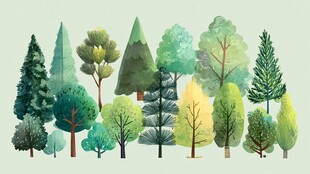 多彩树木组成的清新森林