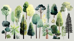 多样手绘树木插画集合