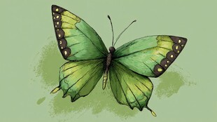 翠绿蝴蝶水彩画艺术图