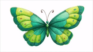 翠绿斑斓蝴蝶插画