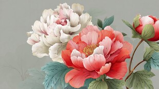 娇艳双牡丹绽放