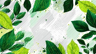 清新绿叶几何图案背景图