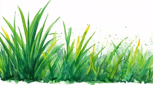 水彩绘就的清新草地