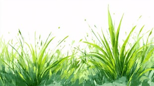 清新嫩绿草丛插画