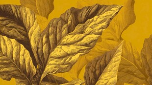 金色叶脉叶片艺术图案