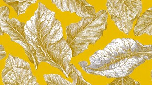 金色叶片的活力图案背景