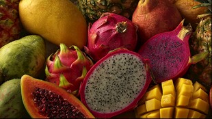 多彩缤纷热带水果大集合