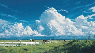 草原牧场景象 白云悠悠