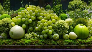 绿调蔬果微景观艺术展示