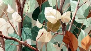 树叶繁茂的植物特写画面