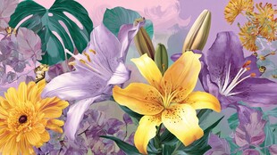 梦幻多彩花卉组合插画