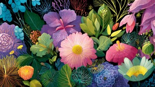 梦幻绚丽的多彩花卉世界