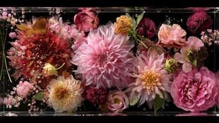 缤纷多彩花卉艺术组合