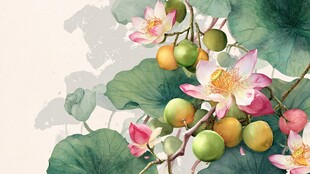 水墨荷花硕果图