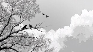 枝头飞鸟伴云景