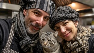 厨师夫妇与萌猫的温馨瞬间