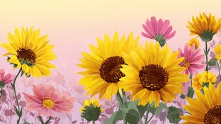 缤纷向日葵花卉插画