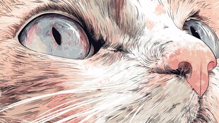 猫咪特写 灵动双眸与粉鼻